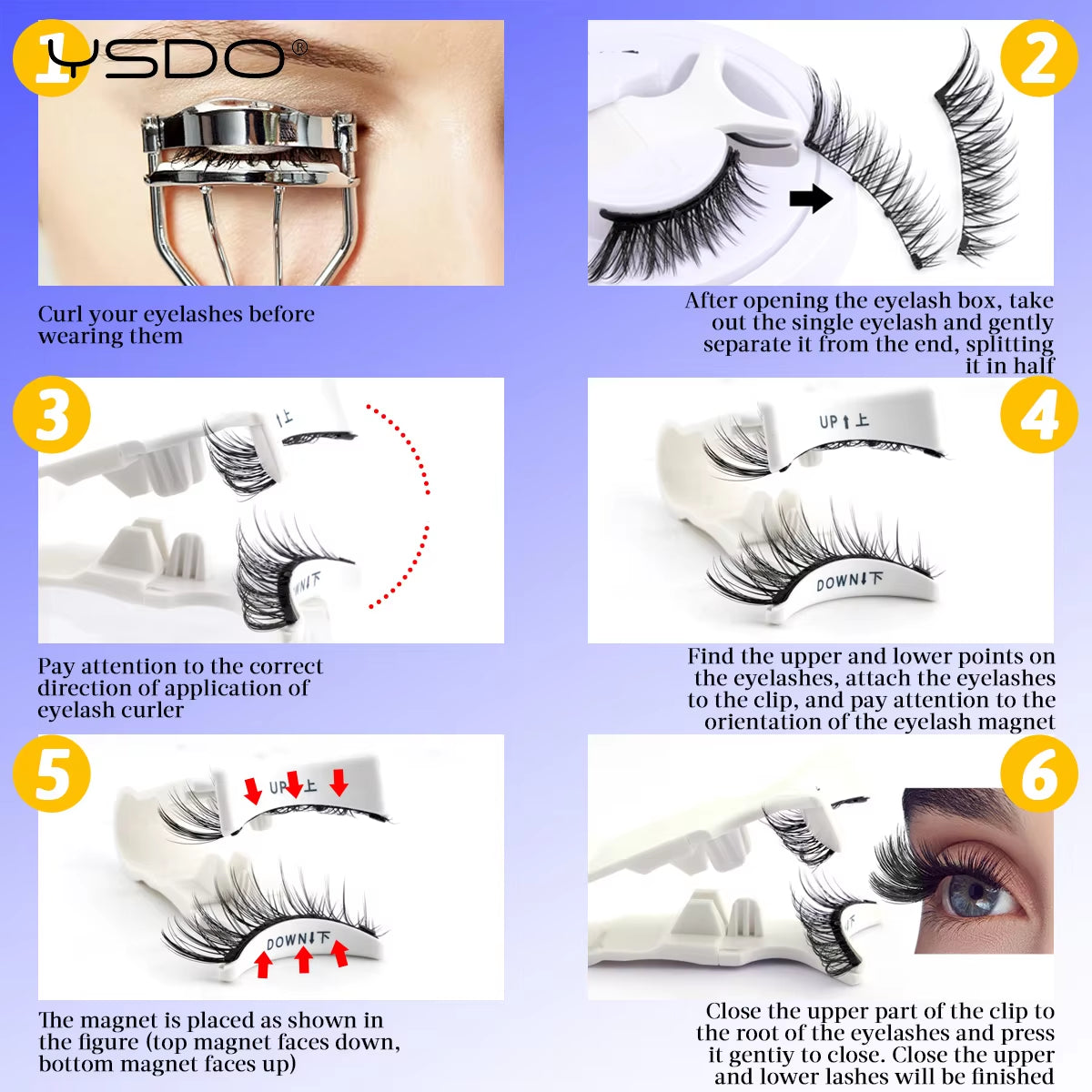Avenoria Portable Magnetic Lashes Kit